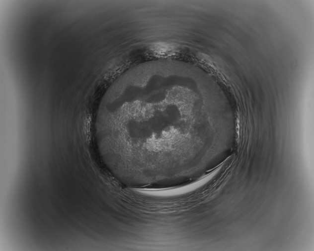 X0000097890319200803211400