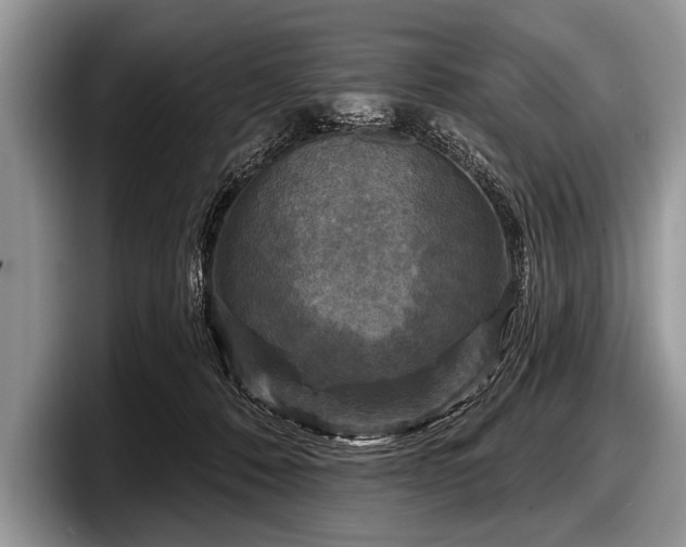 X0000097890320200803211400