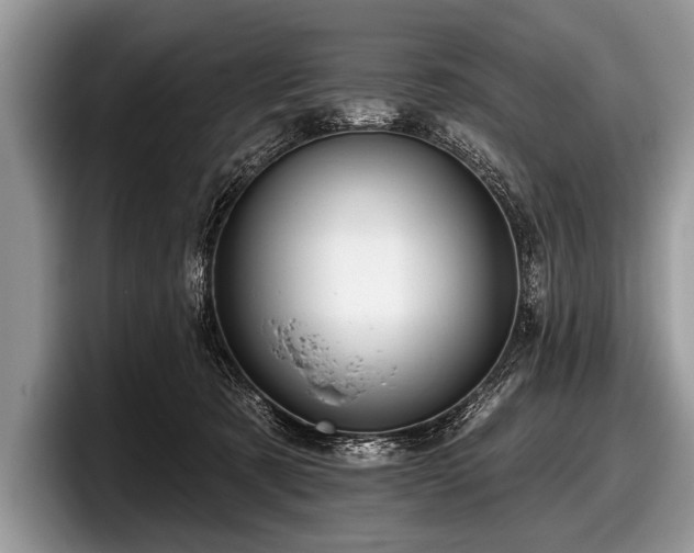 X0000097890321200803211400