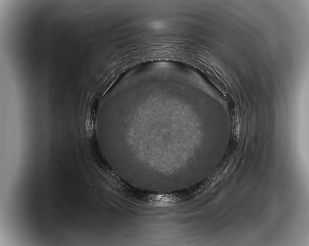 X0000097890324200803211400