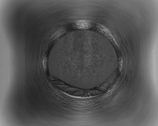 X0000097890325200803211400