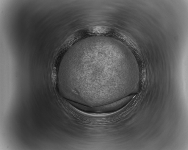 X0000097890328200803211400