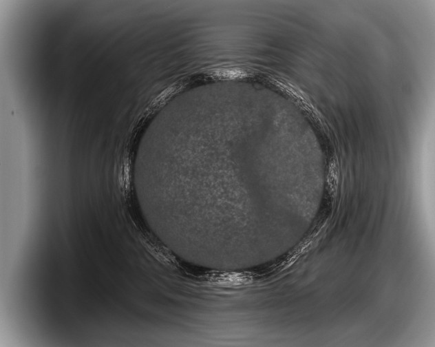 X0000097890330200803211400