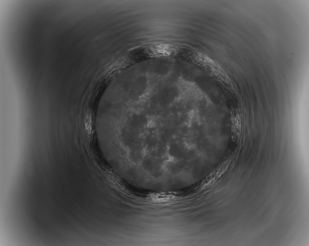 X0000097890331200803211400