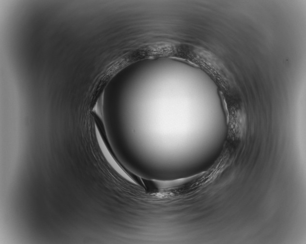 X0000097890333200803211400