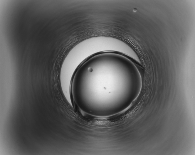 X0000097890336200803211400