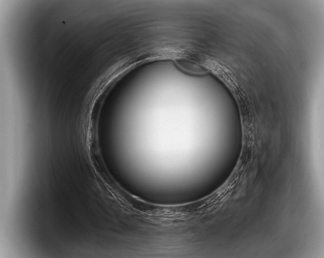 X0000097890338200803211400