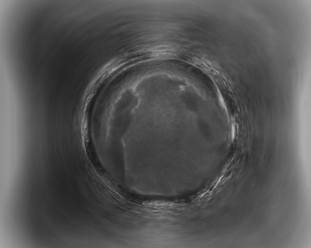 X0000097890339200803211400