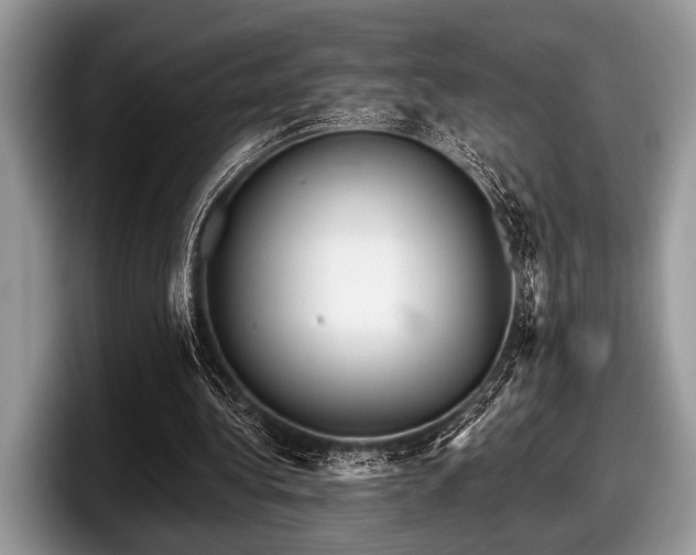 X0000097890340200803211400