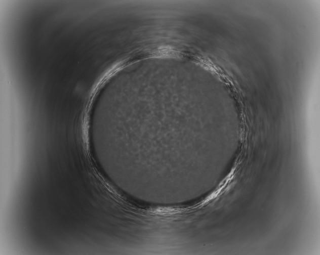 X0000097890341200803211400