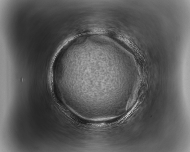 X0000097890342200803211400