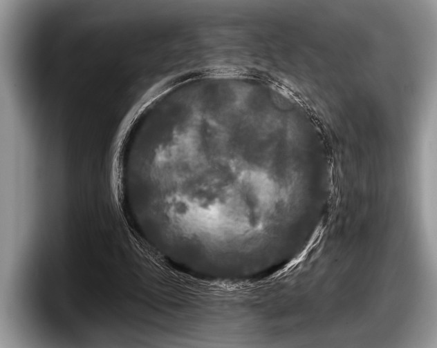 X0000097890343200803211400