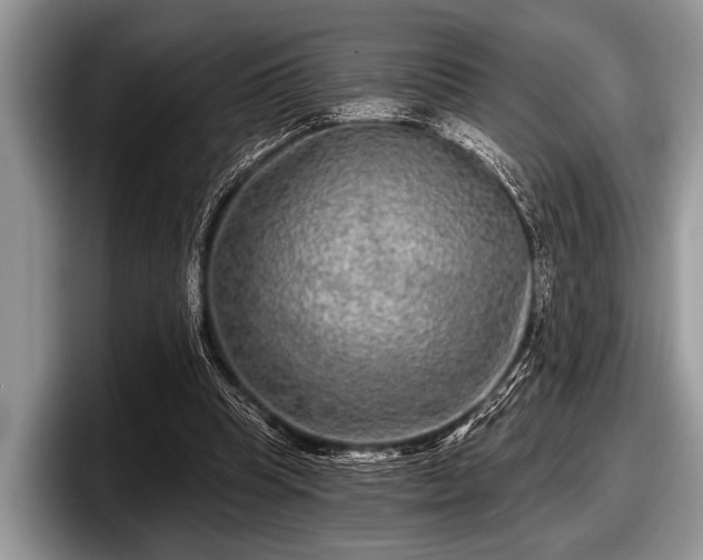 X0000097890345200803211400