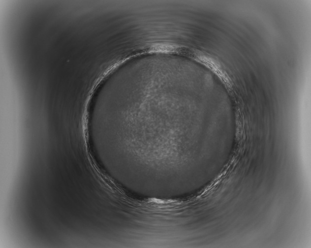 X0000097890346200803211400