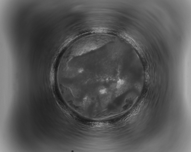 X0000097890347200803211400