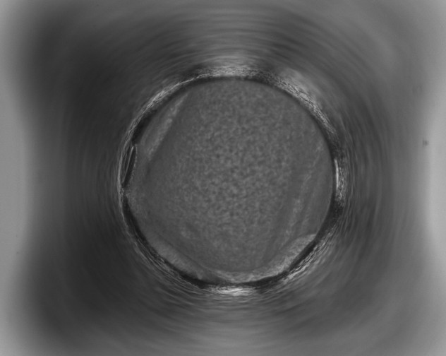 X0000097890348200803211400