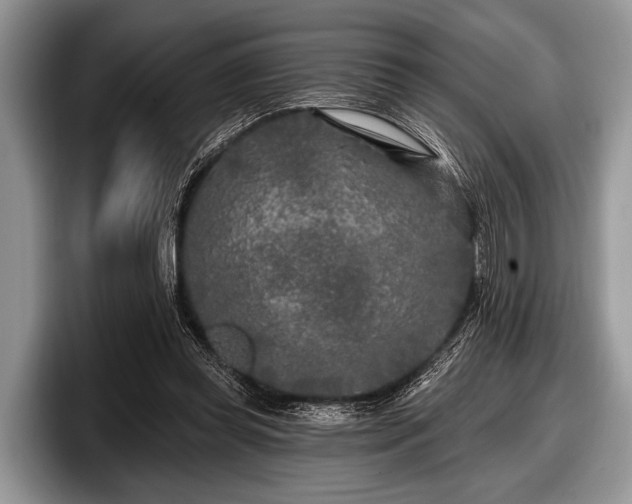 X0000097890349200803211400