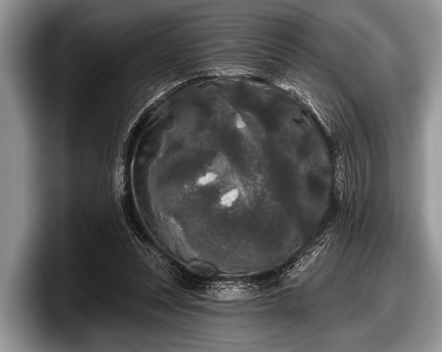 X0000097890351200803211400