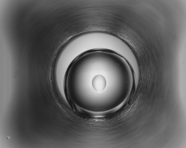 X0000097890352200803211400