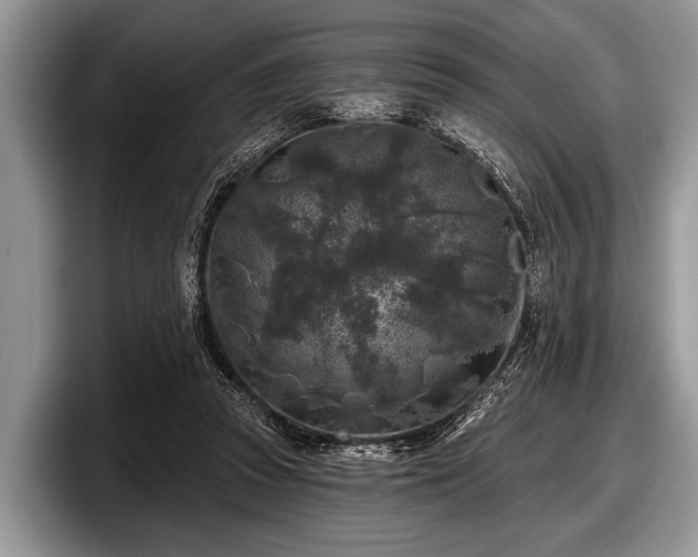 X0000097890353200803211400