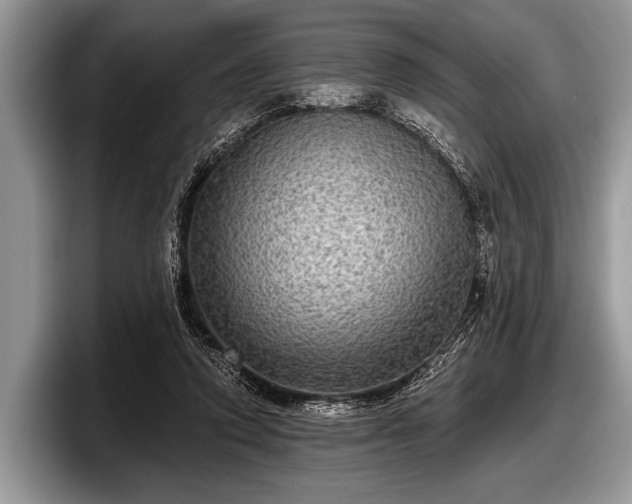 X0000097890354200803211400