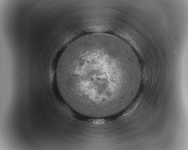 X0000097890355200803211400