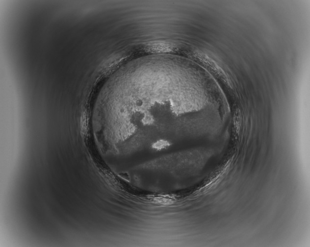 X0000097890359200803211400