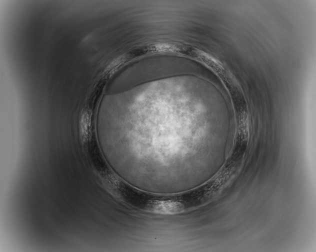 X0000097890360200803211400