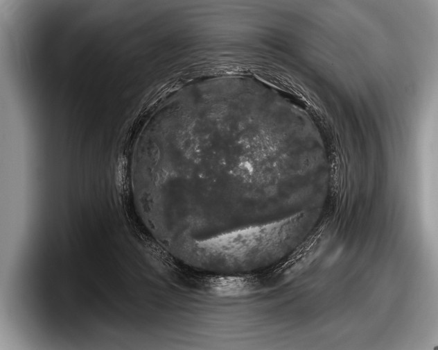 X0000097890361200803211400