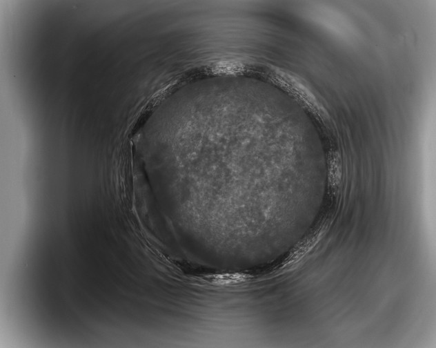 X0000097890363200803211400