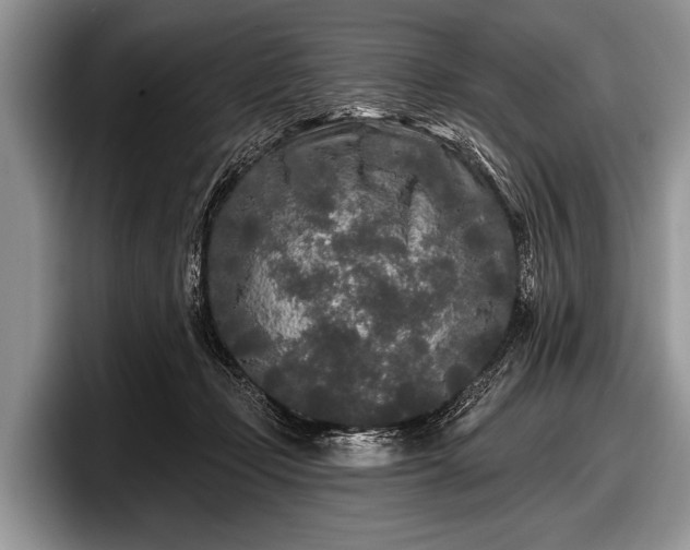 X0000097890365200803211400