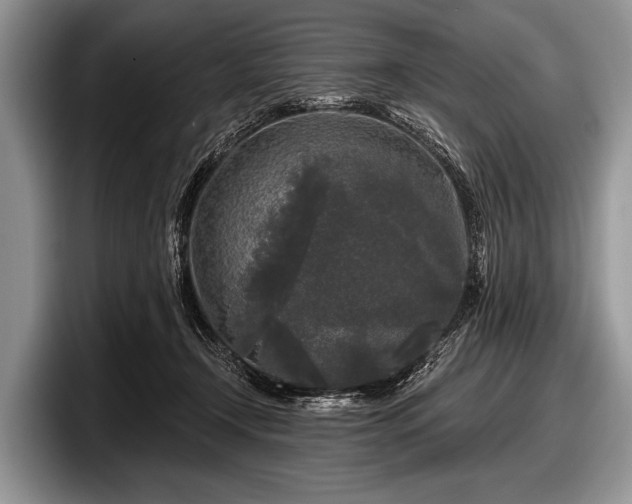 X0000097890366200803211400