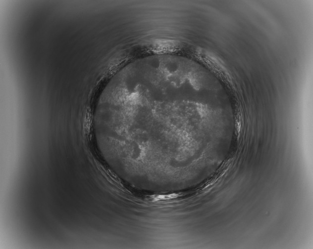 X0000097890367200803211400