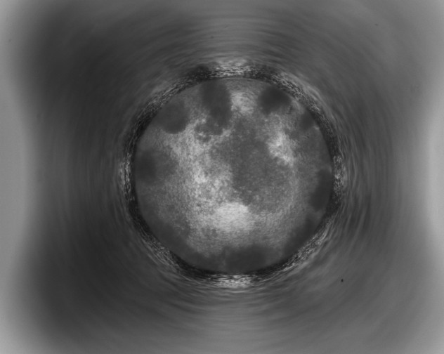 X0000097890369200803211400