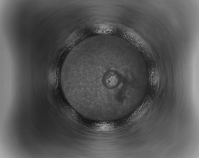 X0000097890370200803211400