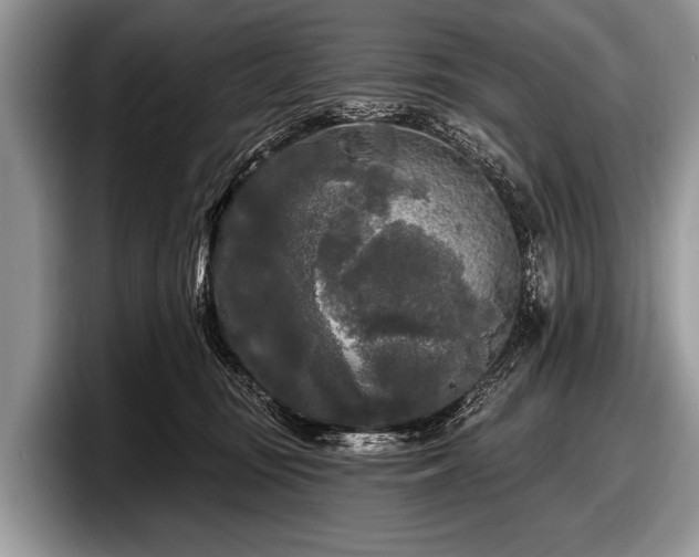 X0000097890371200803211400