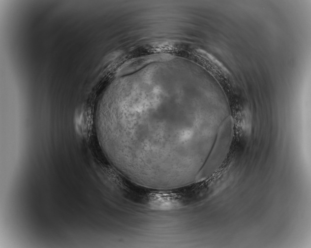 X0000097890372200803211400