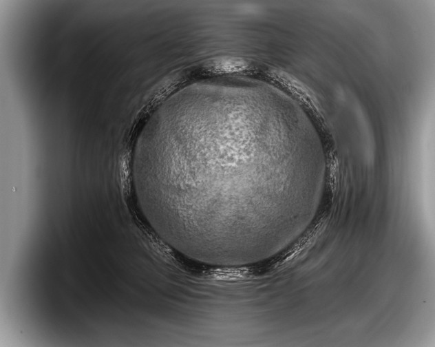 X0000097890373200803211400