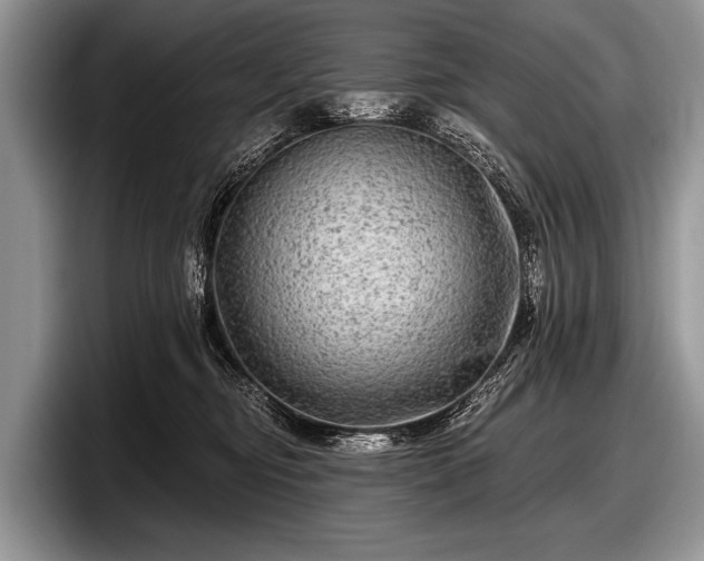 X0000097890374200803211400