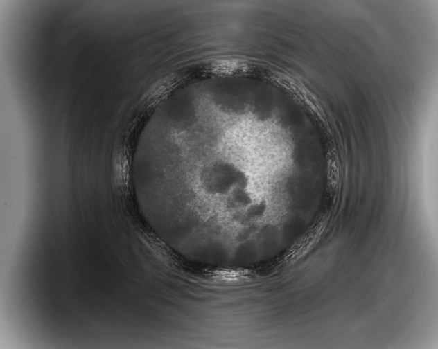 X0000097890375200803211400