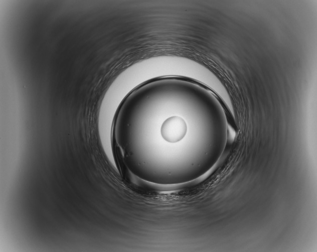 X0000097890376200803211400