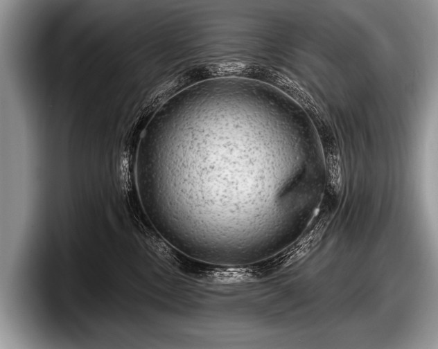 X0000097890378200803211400