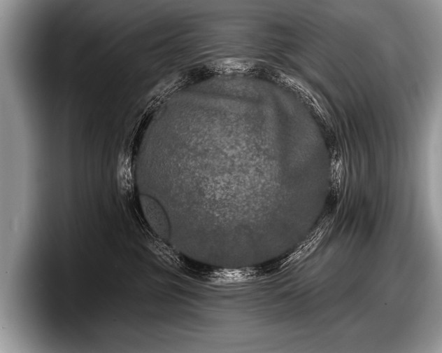 X0000097890381200803211400