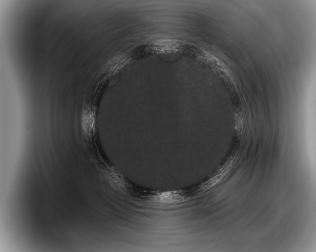 X0000097890382200803211400