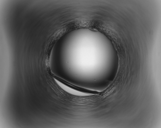 X0000097890384200803211400