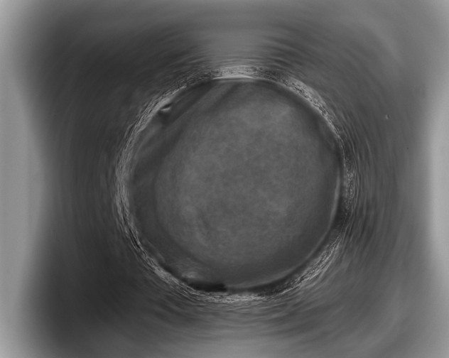 X0000097890385200803211400