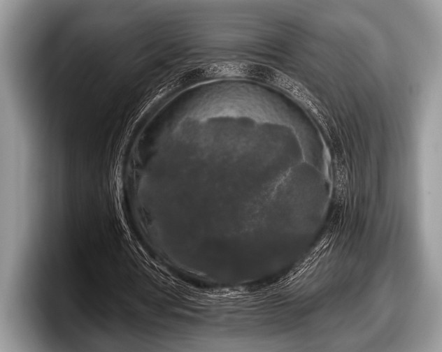 X0000097890386200803211400