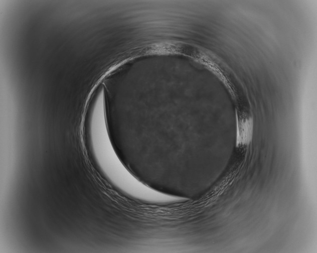 X0000097890387200803211400