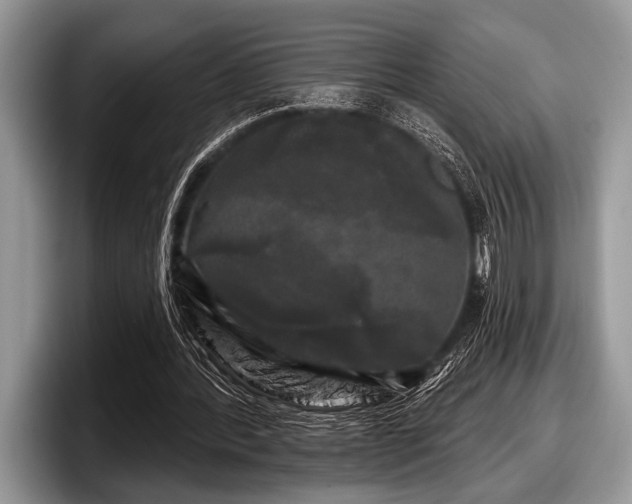 X0000097890388200803211400