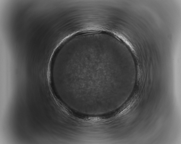 X0000097890391200803211359